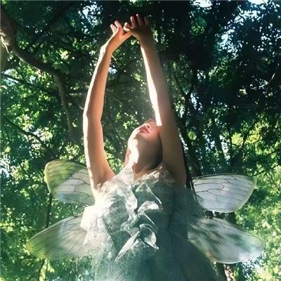 混沌之龙:赤龙战役