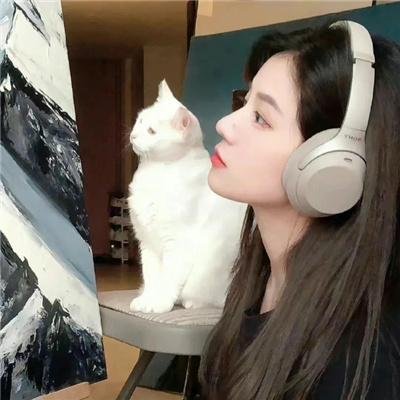 公子不可求